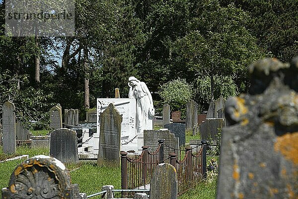 Den Helder  Niederlande  Juni 2022. Alte  baufällige Gräber auf dem Friedhof von Den Helder. Selektiver Fokus  Europa