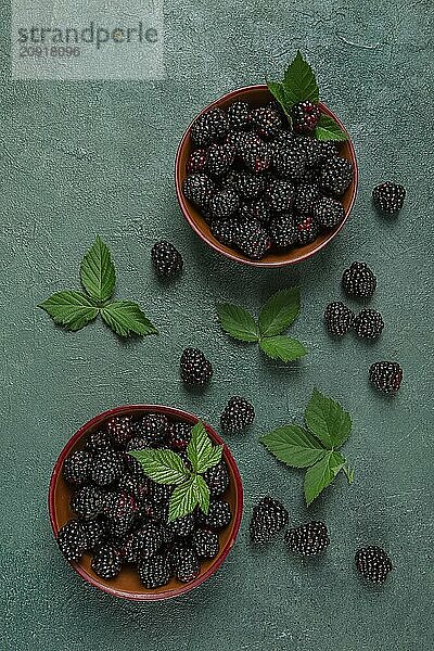 Zwei Schalen  frische  reife Brombeeren  mit Blättern  Draufsicht  ohne Personen