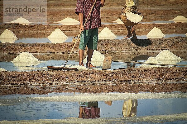 Zwei Personen bei der Salzernte auf einem schlammigen Feld mit Reihen weißer Salzhaufen  die mit Schaufeln in einer reflektierenden  wässrigen Umgebung arbeiten. Kampot  Kambodscha  Asien