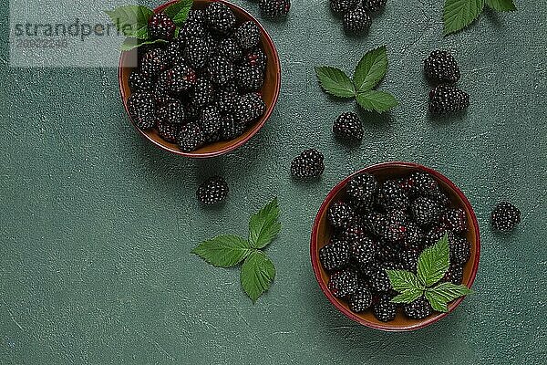 Zwei Schalen  frische  reife Brombeeren  mit Blättern  Draufsicht  ohne Personen