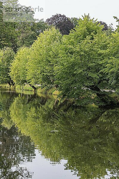 Ein ruhiger Fluss  der die grünen Bäume am Ufer reflektiert  einen friedlichen Eindruck vermittelnd  Gemen  Münsterland  deutschland