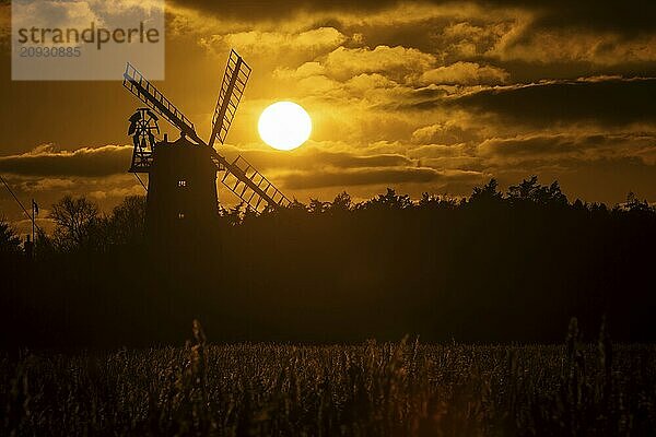 Windmühlensilhouette bei Sonnenuntergang mit rotem Himmel und Wolken im Hintergrund und Schilfgürtel im Vordergrund  Cley next to the sea  Norfolk  England  Großbritannien  Europa