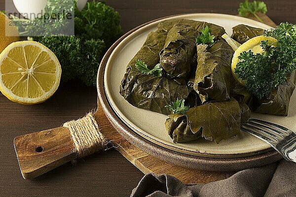 Dolma  Kohlrouladen  Traubenblätter mit Füllung  weiße Soße  Zitrone und Kräuter  rustikal  selektiver Fokus  keine Menschen