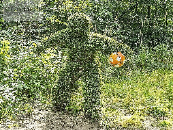 Heckenskulptur in Form eines Menschen  der einen Fußball hält  in einem bewaldeten Bereich  Schloss Neuhaus  Deutschland  Europa