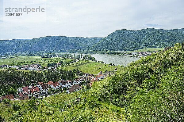 Blick von der Burg Dürnstein im Frühling  Dürnstein  Fluss Danubia  Wachau  Österreich  Europa