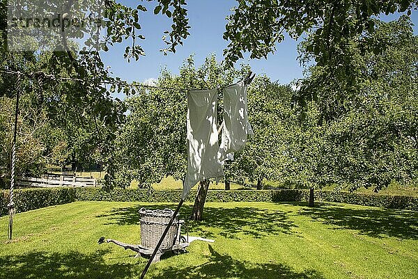 Enkhuizen  Niederlande. Juni 2022. Blühender Garten und die Kulisse des Wäschetrocknens Foto in hoher Qualität. Selektiver Fokus