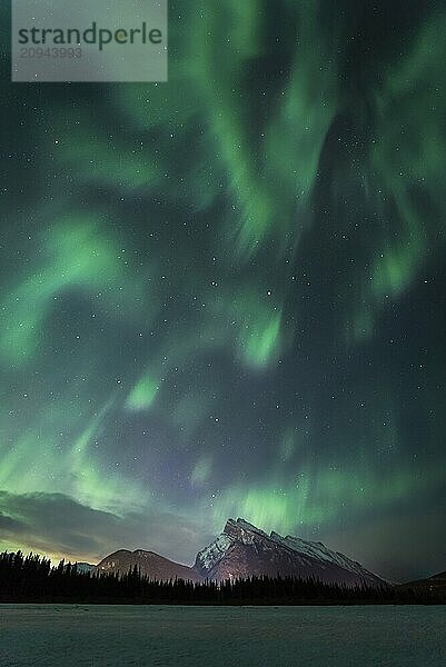 Aurora borealis illuminates the night sky with green and purple lights over a mountain silhouette surrounded by trees  Banff National Park  Canadian Rockies  Alberta  Canada  North America