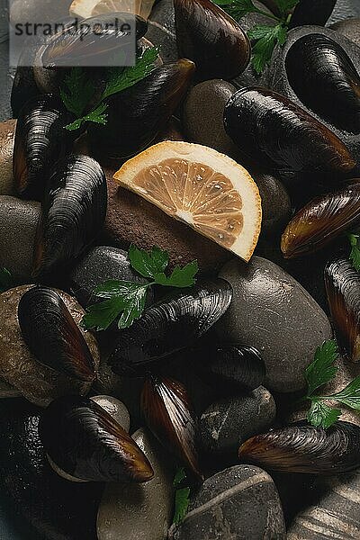 Frische Muscheln  auf Felsen  Draufsicht  Food Konzept  selektiver Fokus  Meeresfrüchte  keine Menschen