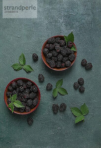 Zwei Schalen  frische  reife Brombeeren  mit Blättern  Draufsicht  ohne Personen