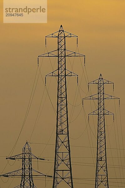 Silhouette eines Strommastes bei Sonnenuntergang  Kent  England  Großbritannien  Europa