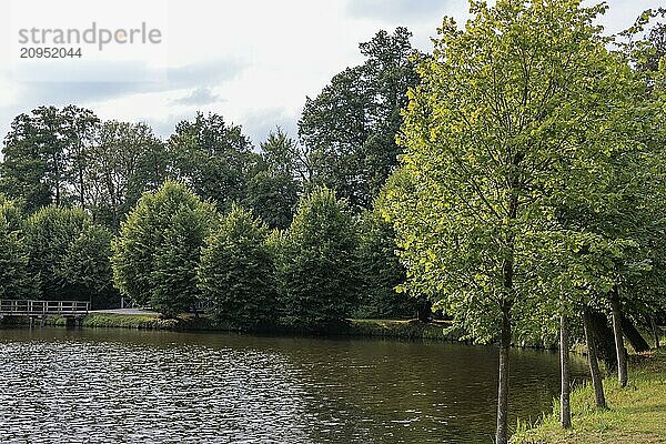 Ein ruhiger See mit grünen Bäumen und friedlicher Atmosphäre am Ufer  Gemen  Münsterland  deutschland