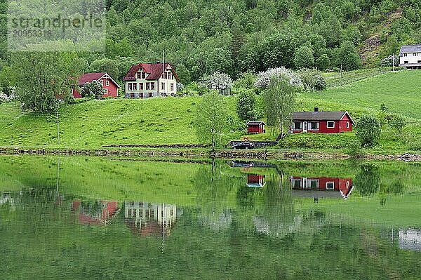 Mehrere Häuser spiegeln sich auf einem See inmitten grüner Natur  Ruhe  Frieden  Stryn  Mindesundet  Fjordland  Norwegen  Europa