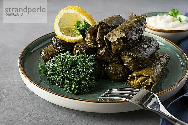 Dolma  cabbage rolls  grape leaves with filling  white sauce  lemon and herbs  rustic  selective focus  no people