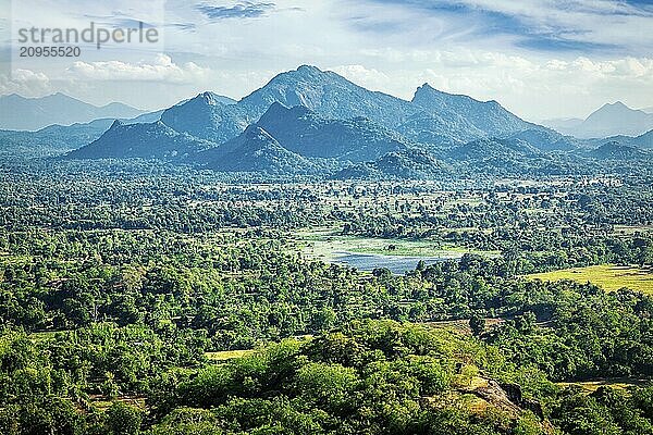 Sri Lankanische Landschaft  Blick vom Sigiriya Felsen  Sri Lanka  Asien