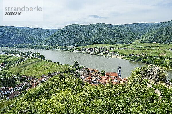 Blick von der Burg Dürnstein im Frühling  Dürnstein  Fluss Danubia  Wachau  Österreich  Europa