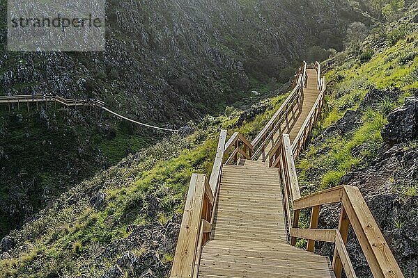 Schöner hölzerner Boardwalk im Tal in Alferce  Algarve  Südportugal