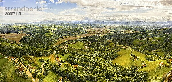 Luftbildpanorama von grünen Hügeln und Weinbergen mit Bergen im Hintergrund. Österreich Weinberge Landschaft. Leibnitz Gebiet in der Südsteiermark  Weinland. Toskana wie Ort und berühmter Touristenort