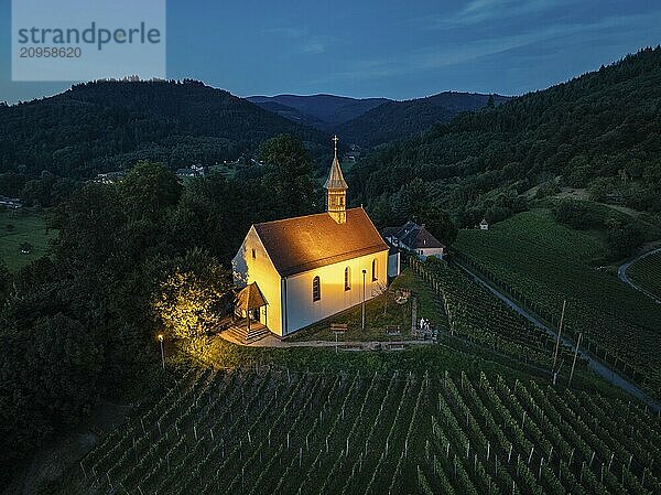 Die Jakobuskapelle  Berglekapelle auf einem Weinberg zur blauen Stunde  Sehenswürdigkeit und Wahrzeichen von Gengenbach  Luftbild  Nachtaufnahme  Ortenaukreis  Baden-Württemberg  Deutschland  Europa