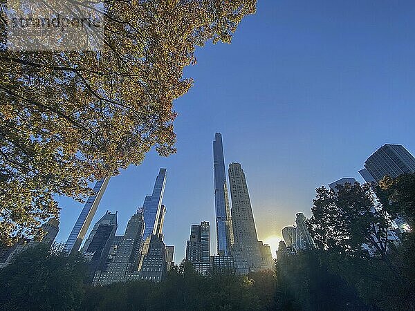 Autumn leaves in central park at sunset with the silhouette of skyscrapers in the background  the skyline of new york with skyscrapers on the hudson river  new york  usa