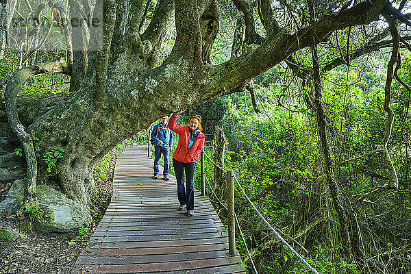 Woman and man walking over footbridge under tree at Garden Route National Park in Eastern Cape  South Africa