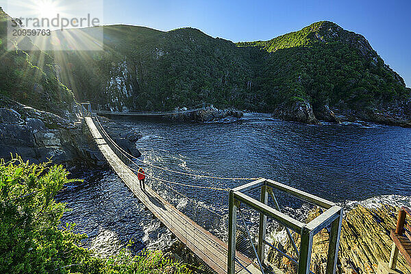 Woman hiking on suspension bridge over river at sunny day in Eastern Cape  South Africa