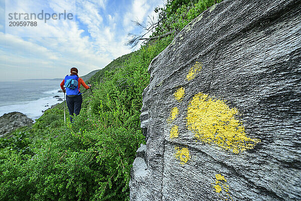 Otter mark on rock with woman hiking on trial in Tsitsikamma Section  Garden Route National Park  Eastern Cape  South Africa