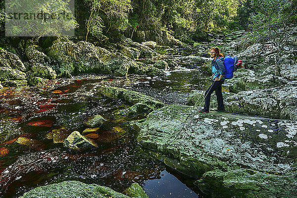 Mature backpacker standing on rock near river in forest of Otter Trail  Tsitsikamma Section  Garden Route National Park  Eastern Cape  South Africa