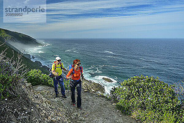 Hikers hiking Otter Trail near sea in Tsitsikamma Section  Garden Route National Park  Eastern Cape  South Africa