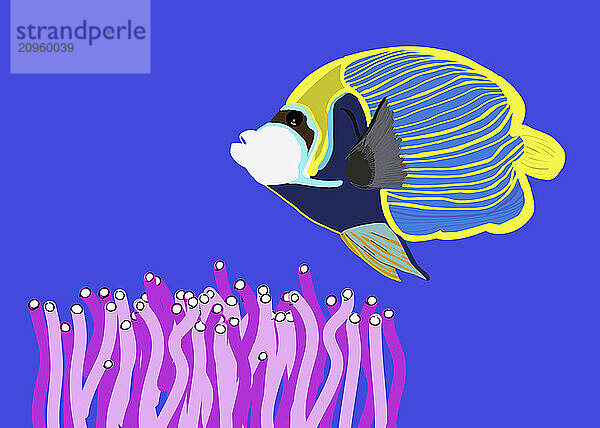 Illustration of fish swimming over anemone against blue background