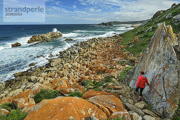 Woman walking on rock formations at Robberg Nature Reserve  Garden Route National Park  Western Cape  South Africa