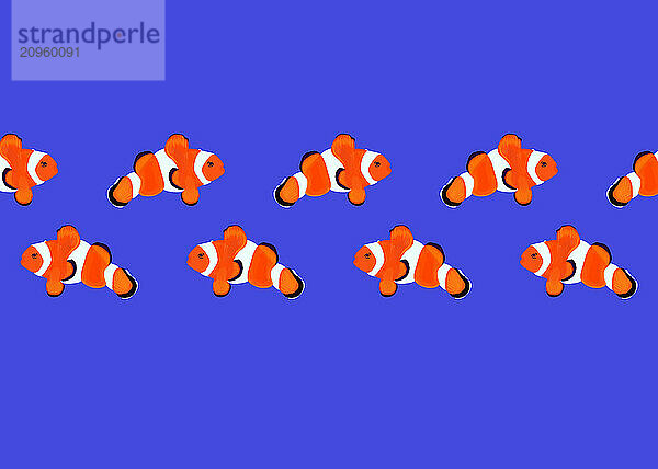 Illustration of clown fish on blue background