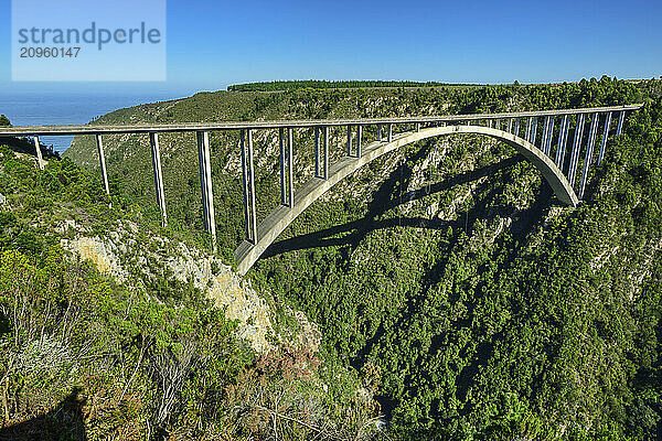 Bloukrans Bridge near Nature's valley in Eastern Cape  South Africa