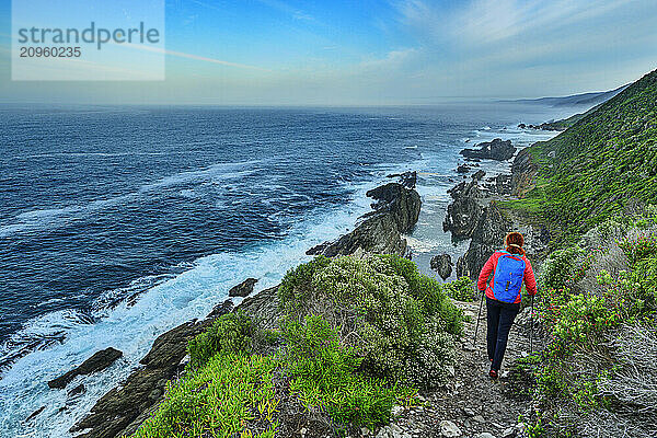 Woman hiking down on Otter Trail near sea at Tsitsikamma Section  Garden Route National Park in Eastern Cape  South Africa