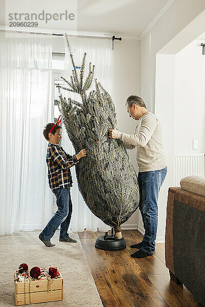 Father and son placing Christmas tree at home