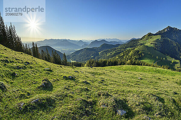 Mountains seen from view of Farrenpoint to Mangfall range under blue sky in Bavarian Alps  Bavaria  Germany