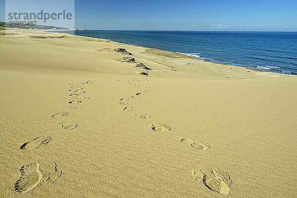 Footprints on sand dunes near the Indian Ocean at Eastern Cape  South Africa