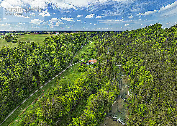 Lush valley of Mangfall in Bavarian Alps  Bavaria  Germany