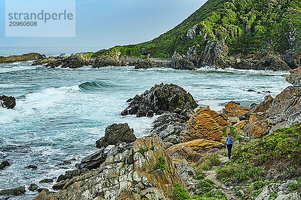 Woman hiking near coastline at Otter Trail in Tsitsikamma Section  Garden Route National Park  Eastern Cape  South Africa