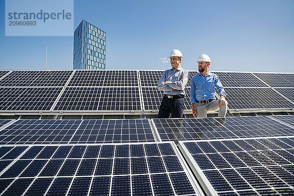 Two businessmen  donning hardhats  exude confidence as they stand amidst a field of solar panels