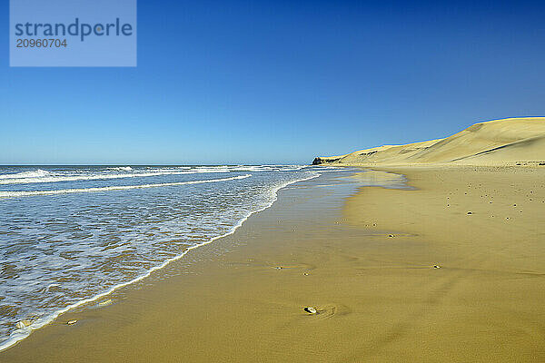 Waves at beach under clear blue sky in Eastern Cape  South Africa