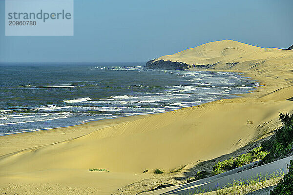 Alexandria hiking trail and Indian Ocean at beach in Eastern Cape  South Africa