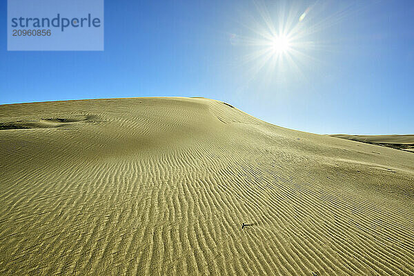 Sand dunes under clear sky at sunny day in Eastern Cape  South Africa