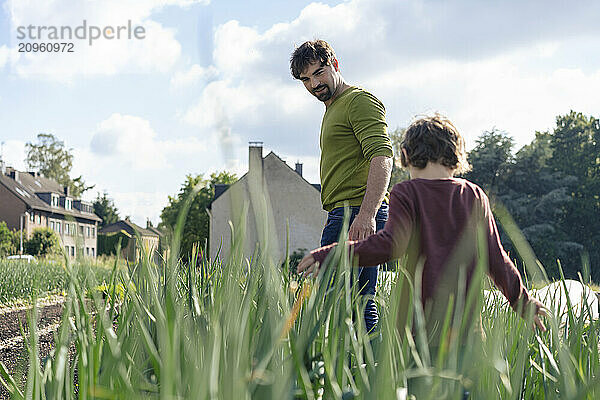 Father and son walking amidst plants in vegetable garden