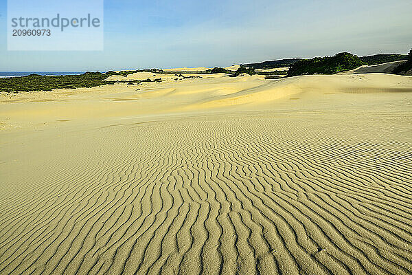 Sand dunes at Addo Elephant National Park in Eastern Cape  South Africa