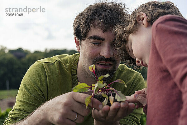 Father and son examining plant in farm