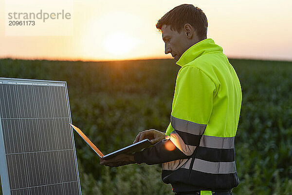 Focused engineer using laptop near solar panel at sunny day