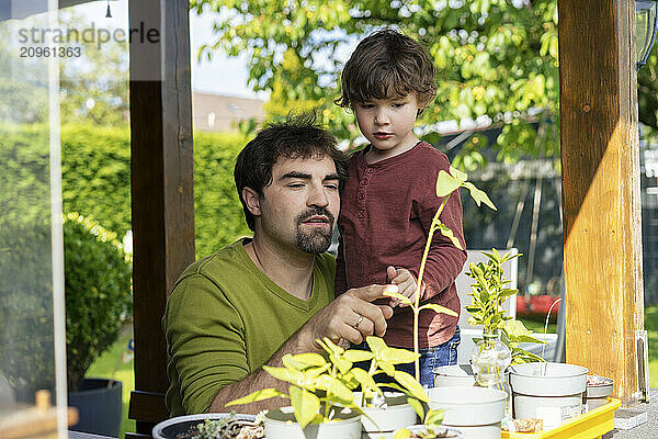 Boy learning about plants with father in back yard