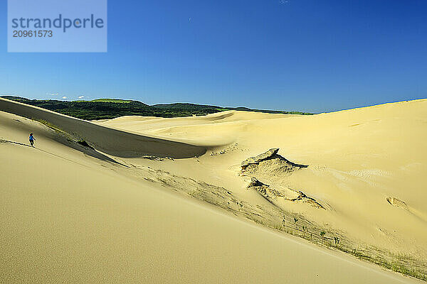 Sand dunes under clear sky at sunny day in Eastern Cape  South Africa