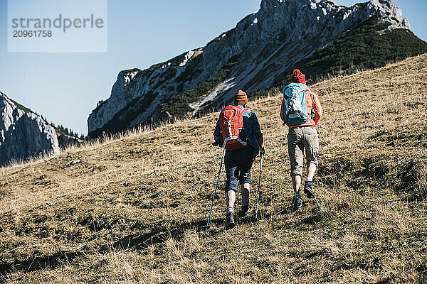 Friends walking with hiking pole on mountain