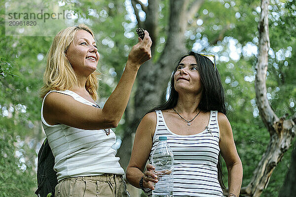 Smiling woman holding pine cone with friend standing in forest